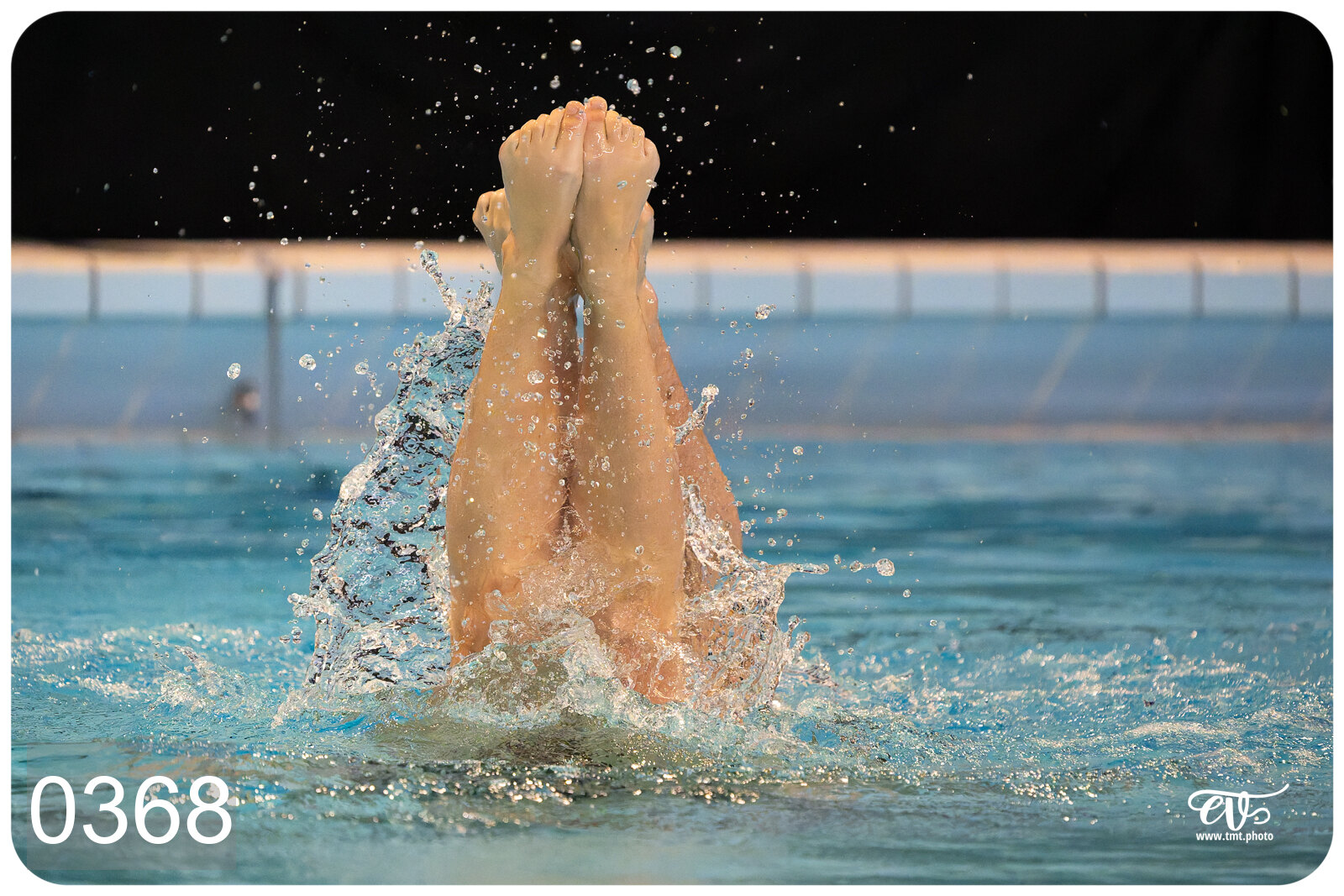 CHAMPIONNAT DE FRANCE DE NATATiON ARTISTIQUE N1 & ELITE 2026
